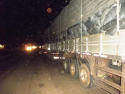 PMA autua carvoaria de MT por transporte ilegal de carvão