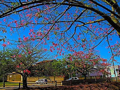 Clima muda a partir deste fim de semana e sul do Estado pode registrar mínima de 8°C
