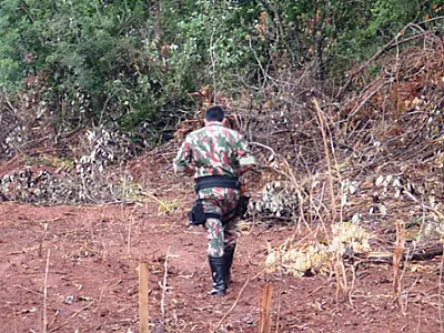 Dono de chácara é multado em R$ 5 mil por desmatamento ilegal