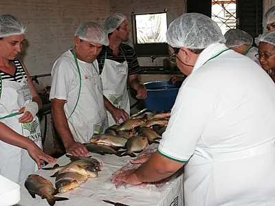 Produção de peixes em MS atingirá 36 mil toneladas