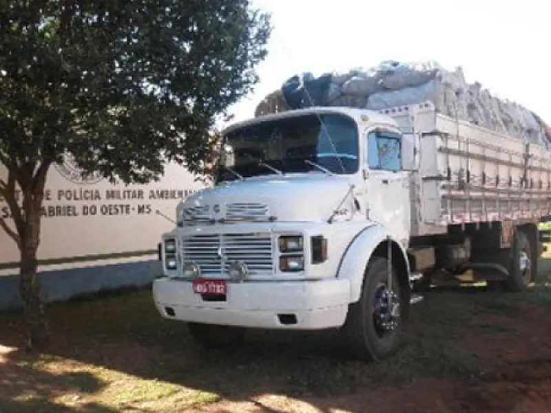 Motorista é multado em R$7, 500 por carga irregular de carvão na MS-435