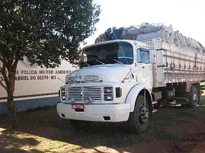 Motorista é multado em R$7, 500 por carga irregular de carvão na MS-435