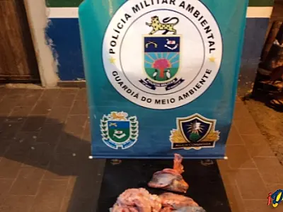 Carne de Jacaré é apreendida pelo Exército próximo à Miranda