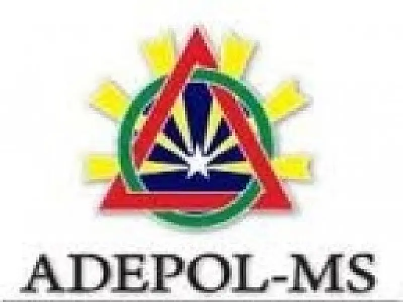 Delegados de MS vão às urnas neste sábado