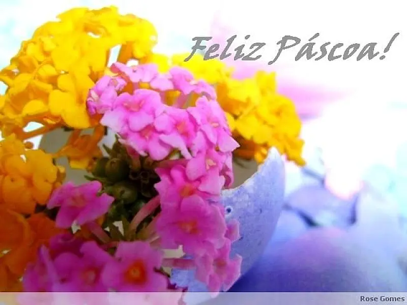 Significado da Páscoa; Festa religiosa ou dia de comer ovos de chocolate?