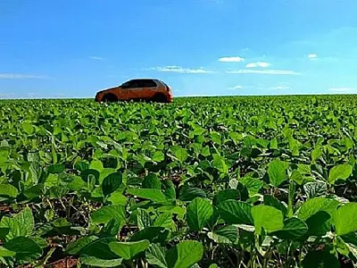 Safra de soja avança com 90% das lavouras em boas condições e mais da metade já comercializada