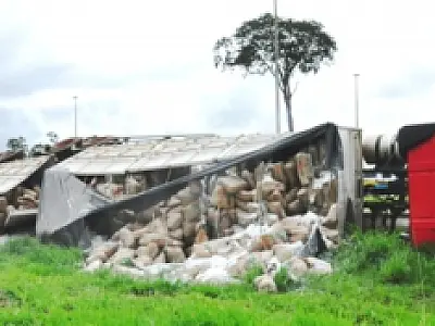 Carreta com 38 toneladas de fécula de mandioca tomba na MS-134