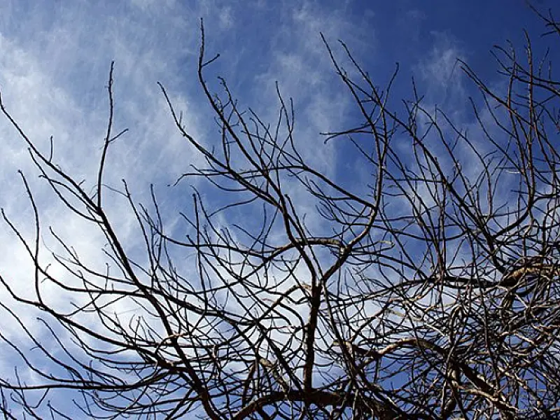 Ar frio e seco predomina nesta terça-feira em Mato Grosso do Sul
