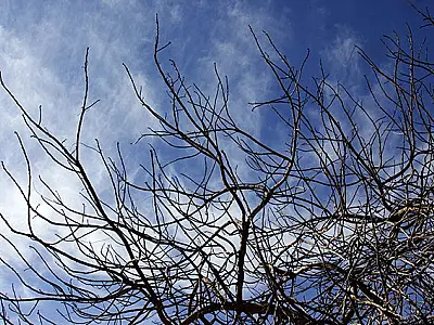 Ar frio e seco predomina nesta terça-feira em Mato Grosso do Sul
