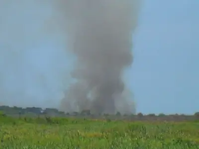 Incêndio há três dias devasta áreas de reserva no Pantanal