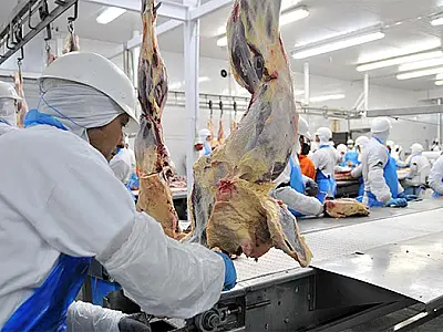 Exportação de industrializados de MS registra aumento de 8% no ano