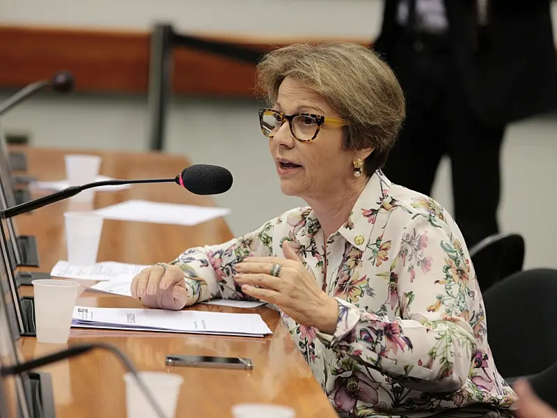 Tereza Cristina defende programa que subsidia tecnologias para redução de riscos agroclimáticos