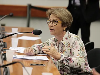 Tereza Cristina defende programa que subsidia tecnologias para redução de riscos agroclimáticos