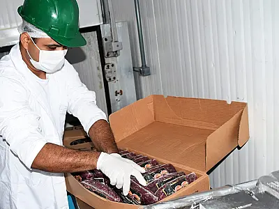 Maior produtor de avestruz fora da África tem frigorífico em Campo Grande e vende para todo país
