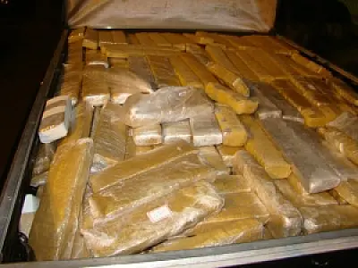 Homem que transportava 781 kg de maconha é pego pela polícia após blitz