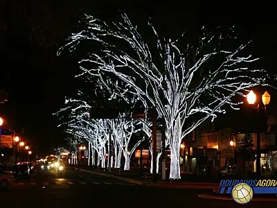 Campanha adote uma árvore busca parceria para o Natal em Dourados