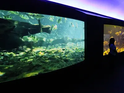 Aquário vai abrir espaço para universidades desenvolverem pesquisa