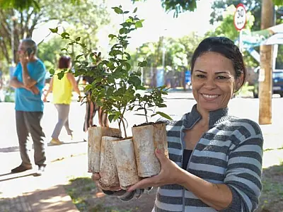 PREFEITURA CELEBRA SEMANA DA ÁRVORE COM DISTRIBUIÇÃO DE 15 MIL MUDAS FRUTÍFERAS
