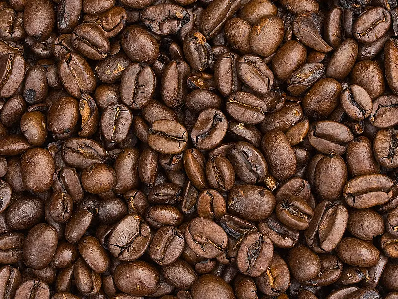 Cientistas encontram relação entre cafeína e infertilidade feminina