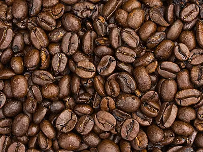 Cientistas encontram relação entre cafeína e infertilidade feminina