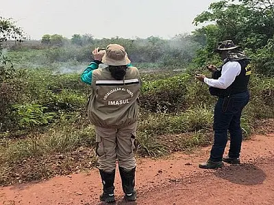 PMA aguarda laudo pericial para autuar fazendas por crime ambiental no Pantanal
