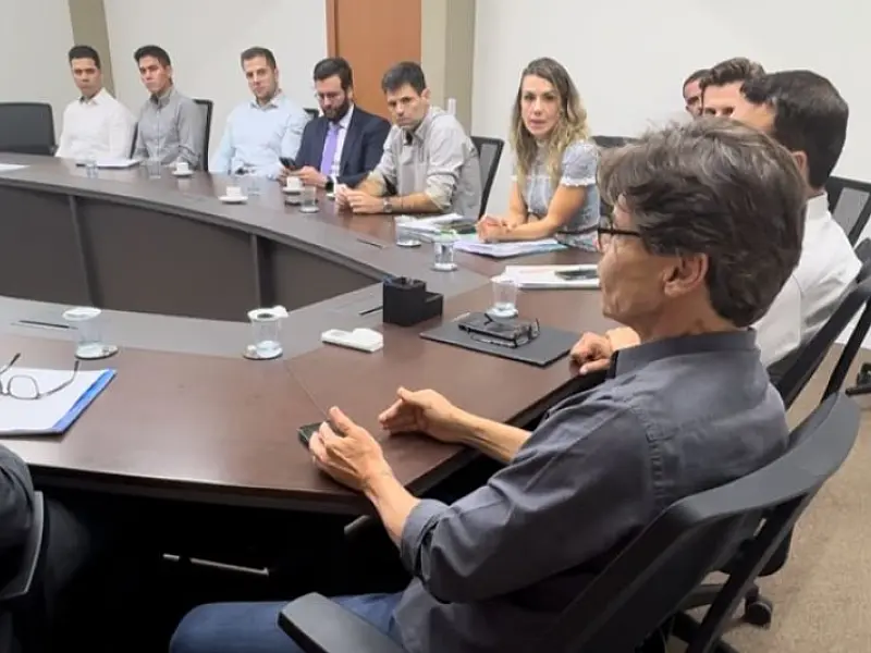 ALEMS participa de reunião sobre impactos da Reforma Tributária no Estado