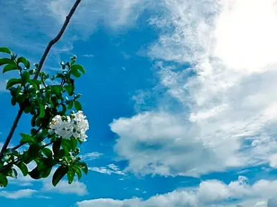 Previsão é de sol e aumento de nuvens na Capital