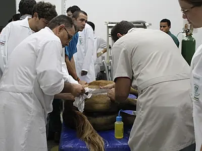Faculdade de MS realiza cirurgia inédita no Estado