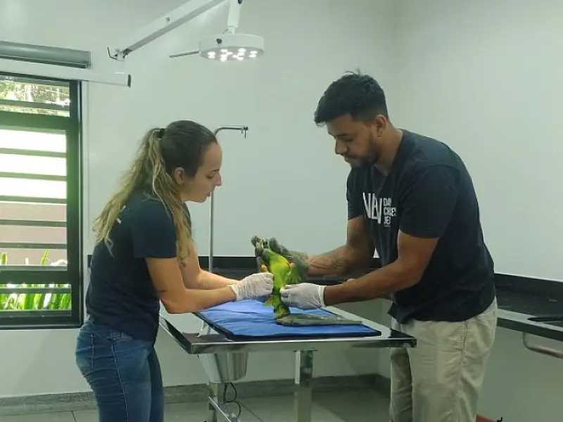 Em hospital onde volta à natureza emociona,
