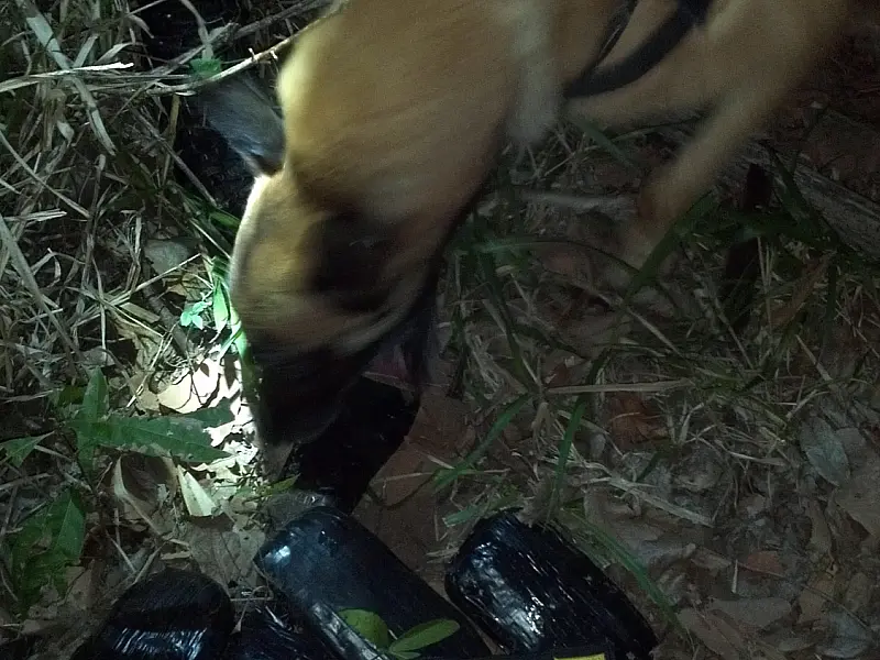 Após acidente, polícia encontra droga em veículo