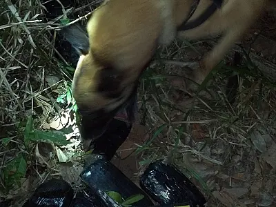Após acidente, polícia encontra droga em veículo