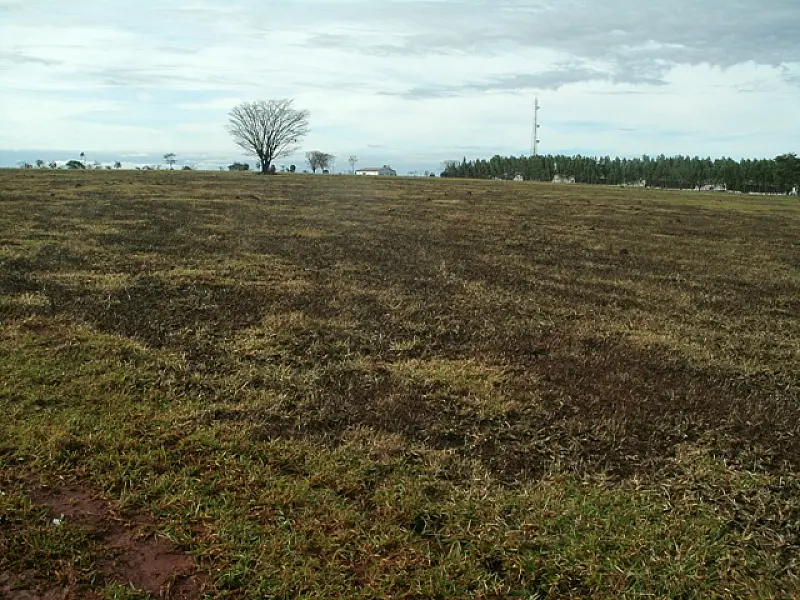 PMA autua dono de chácara por incêndio em área de pastagem