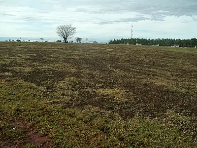 PMA autua dono de chácara por incêndio em área de pastagem