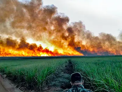 Com incêndio se propagando no Pantanal, tempo seco será crítico em MS até setembro