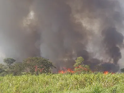 PMA autua usina sucroalcooleira por incêndio em cana