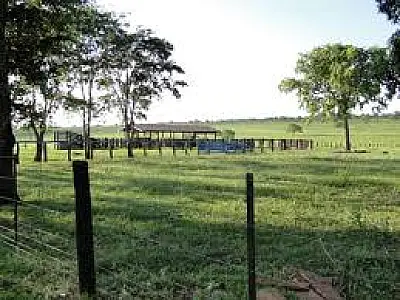 Termina hoje prazo de entrega da declaração do Imposto Territorial Rural