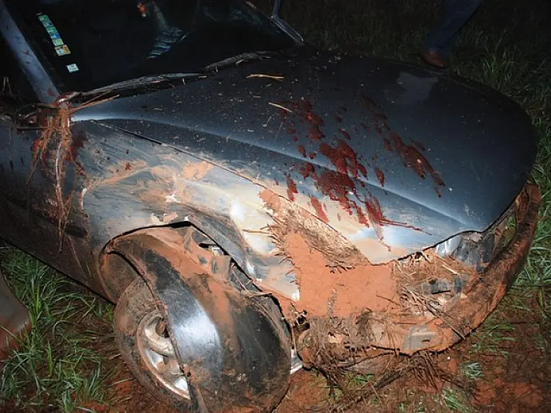 Motorista embriagado capota veículo e passageiro morre na MS-141