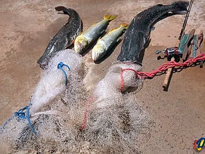 PMA de São Gabriel flagra vereador de Camapuã pescando no rio Coxim