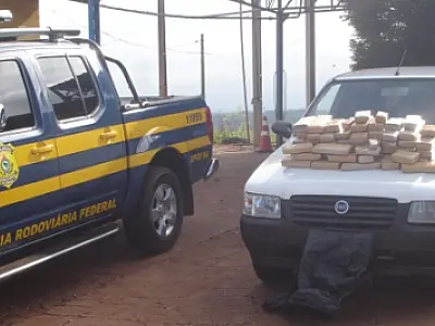 PRF prende jovem com 71.400 gramas de maconha