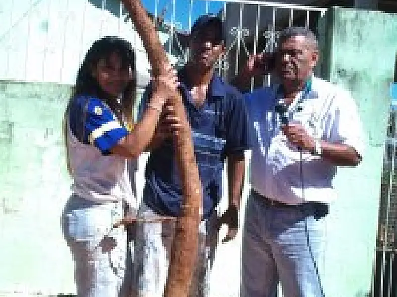 Família colhe mandioca “gigante” em Rio Verde