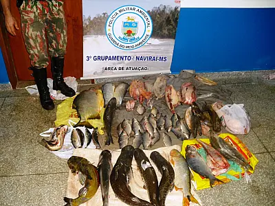 Pescador profissional é preso com 45 kg de pescado ilegal