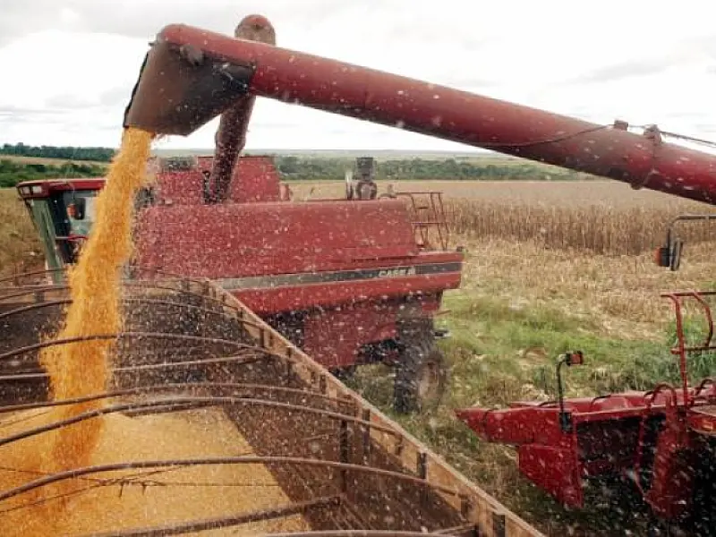 Produção agrícola brasileira cresce 8,1% em 2014