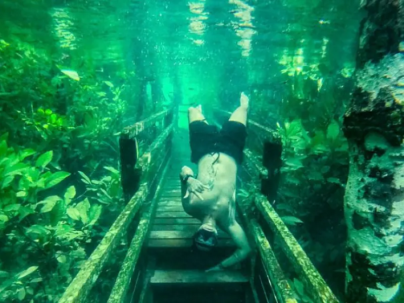 Trilha submersa: