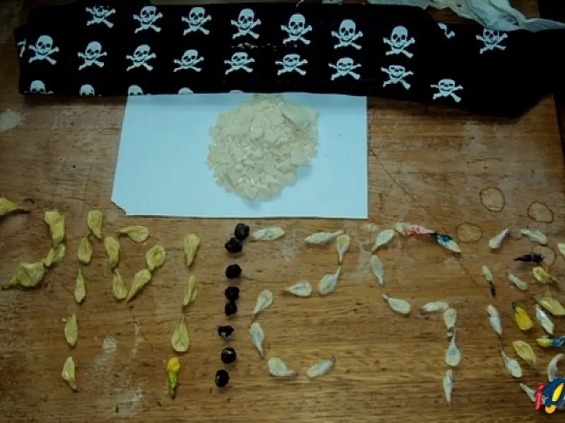 Haxixe e pasta base de cocaína são apreendidos em São Gabriel