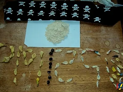 Haxixe e pasta base de cocaína são apreendidos em São Gabriel