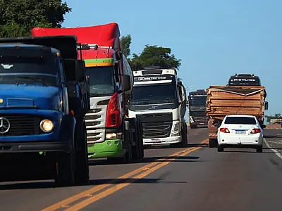 Voucher Transportador