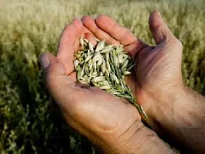 Exportadores ganham mais um ano de isenção de impostos