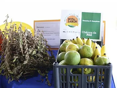 Projeto que incentiva produção de hortaliças cresce e vai atender 44 produtores
