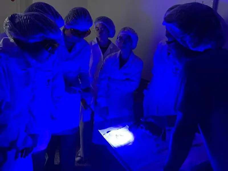 Parceria entre Polícia Científica de MS e UFMS impulsiona pesquisa em química forense