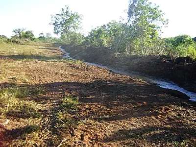 Proprietário rural é multado em R$ 10 mil por desmatamento e desvio de córrego
